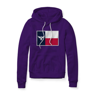 Texas Flag Eagle Hoodie | Ballistic Republic™