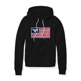 USA Flag Eagle Hoodie | Ballistic Republic™