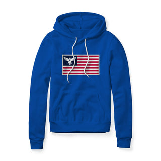 USA Flag Eagle Hoodie | Ballistic Republic™