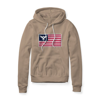 USA Flag Eagle Hoodie | Ballistic Republic™