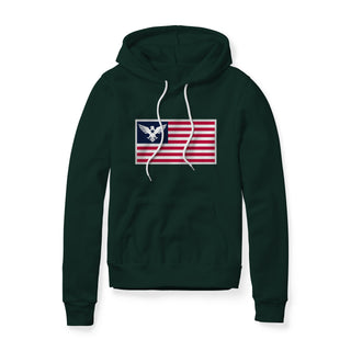 USA Flag Eagle Hoodie | Ballistic Republic™