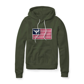 USA Flag Eagle Hoodie | Ballistic Republic™