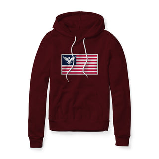 USA Flag Eagle Hoodie | Ballistic Republic™
