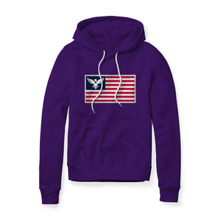 USA Flag Eagle Hoodie | Ballistic Republic™