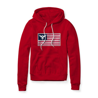 USA Flag Eagle Hoodie | Ballistic Republic™