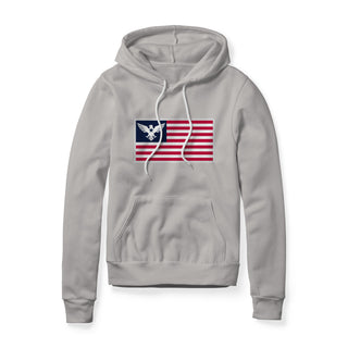 USA Flag Eagle Hoodie | Ballistic Republic™