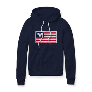 USA Flag Eagle Hoodie | Ballistic Republic™