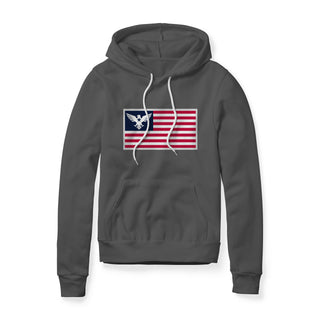 USA Flag Eagle Hoodie | Ballistic Republic™
