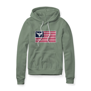 USA Flag Eagle Hoodie | Ballistic Republic™