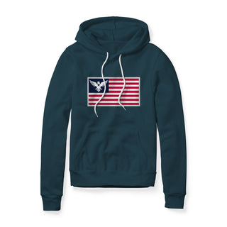 USA Flag Eagle Hoodie | Ballistic Republic™