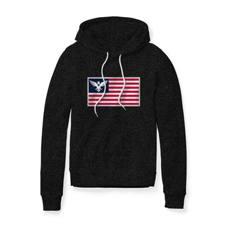 USA Flag Eagle Fleece Hoodie