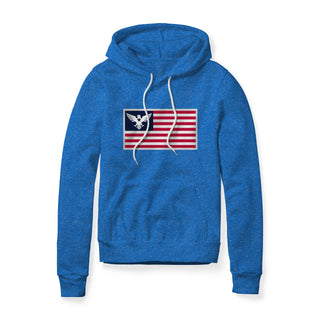 USA Flag Eagle Fleece Hoodie