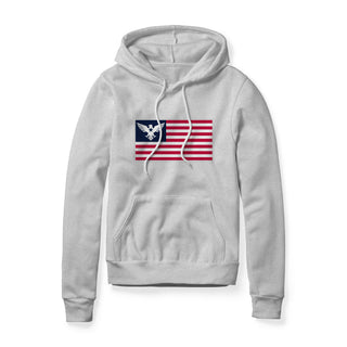 USA Flag Eagle Hoodie | Ballistic Republic™