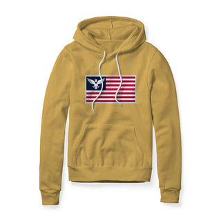 USA Flag Eagle Hoodie | Ballistic Republic™
