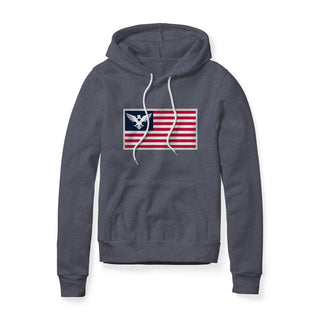 USA Flag Eagle Hoodie | Ballistic Republic™