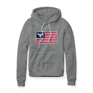 USA Flag Eagle Hoodie | Ballistic Republic™