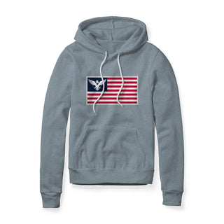 USA Flag Eagle Hoodie | Ballistic Republic™