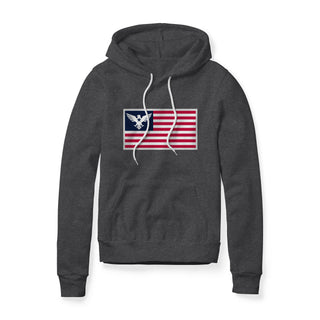 USA Flag Eagle Fleece Hoodie