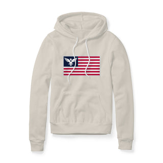 USA Flag Eagle Hoodie | Ballistic Republic™