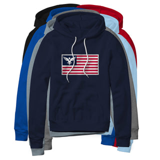 USA Flag Eagle Hoodie | Ballistic Republic™