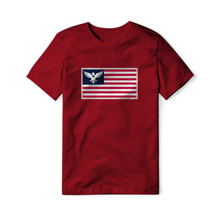 USA Flag Eagle Cotton Tee | Ballistic Republic™