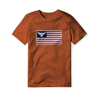 USA Flag Eagle Cotton Tee | Ballistic Republic™