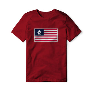 USA Flag BBQ Cotton Tee